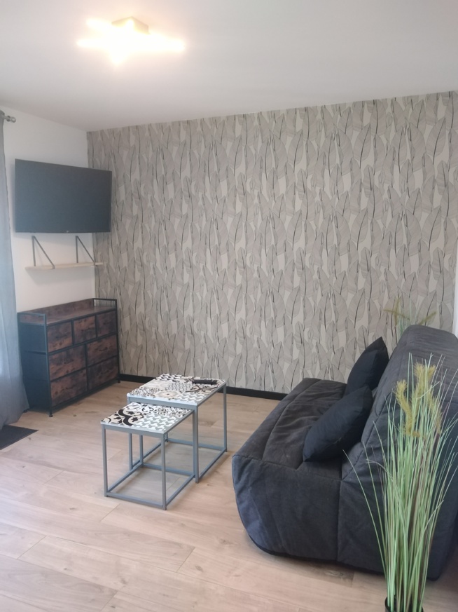 Appartement meublé de type T1 de 19.33 m² avec balcon et cave 