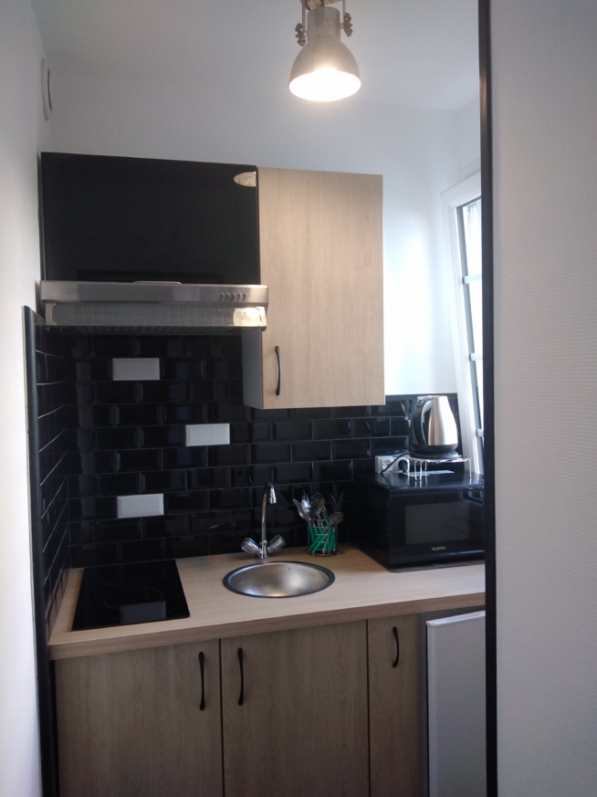 Appartement meublé de type T1 de 19.33 m² avec balcon et cave 