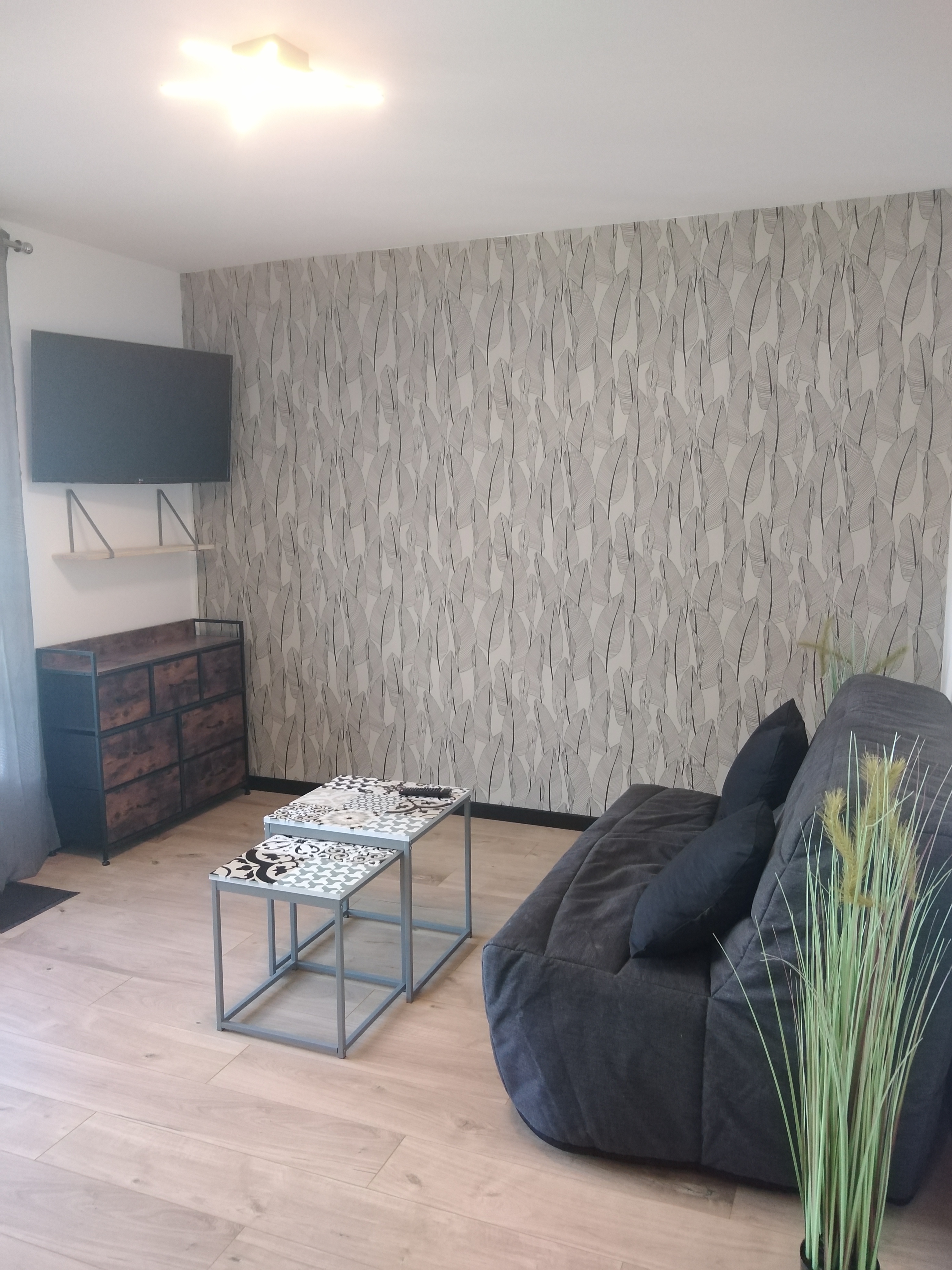 Appartement meublé de type T1 de 19.33 m² avec balcon et cave 